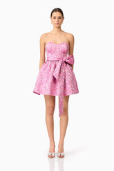 Nadeen A-Line Mini Dress in Pink